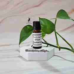 olio esoterico di purificazione