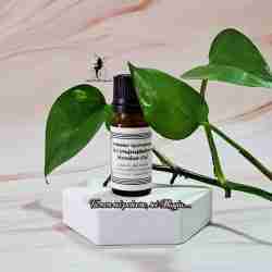 olio hoodoo sommo giovanni il conquistatore